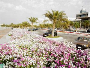 Katar04 