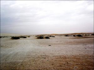 Katar22